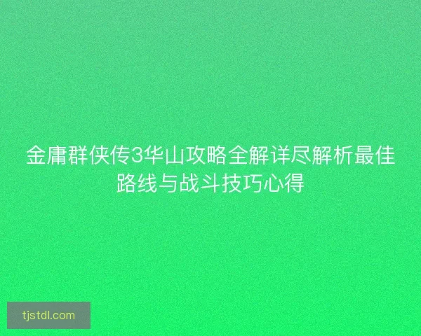 金庸群侠传3华山攻略全解详尽解析最佳路线与战斗技巧心得